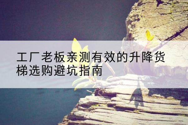 成县升降货梯怎么选-工厂老板亲测有效的升降货梯选购避坑指南