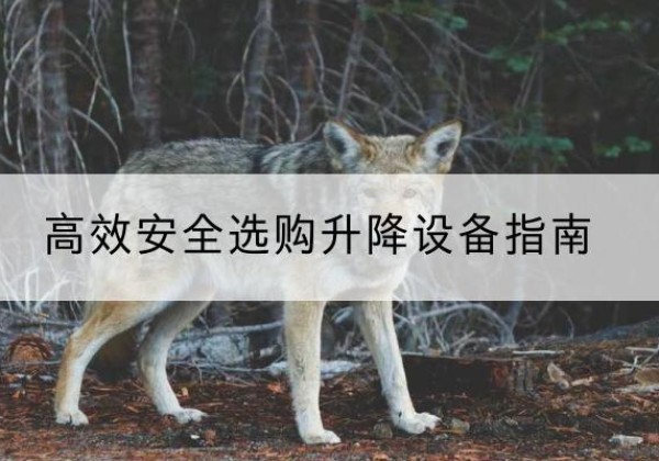 成县升降货梯厂家推荐-*安全选购升降设备指南