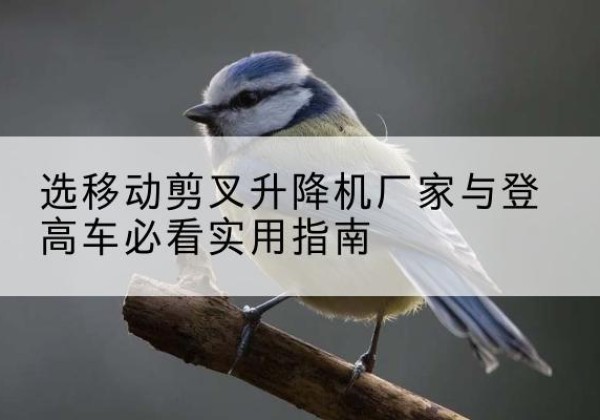 成县电动升降机厂家-选移动剪叉升降机厂家与登高车必看实用指南