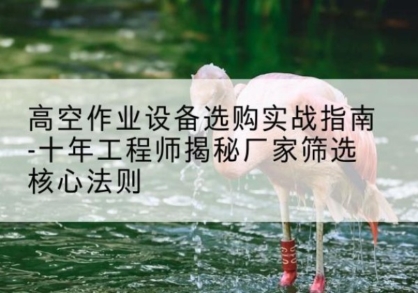 成县剪叉式升降机厂家-高空作业设备选购实战指南-十年工程师揭秘厂家筛选核心法则