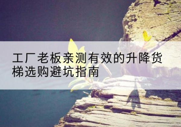 成县升降货梯怎么选-工厂老板亲测有效的升降货梯选购避坑指南